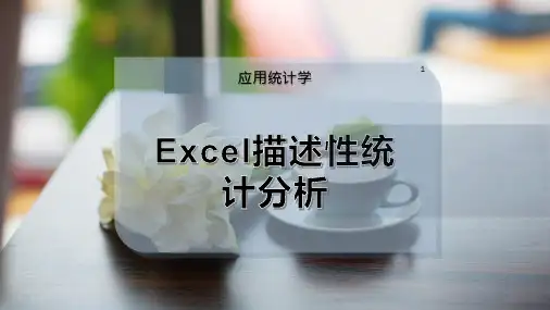Excel描述性统计分析