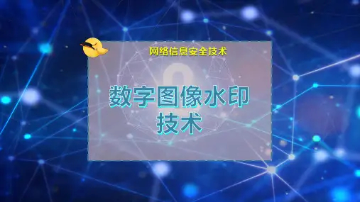 数字图像水印技术