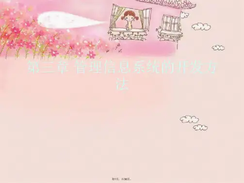 第三章 管理信息系统的开发方法
