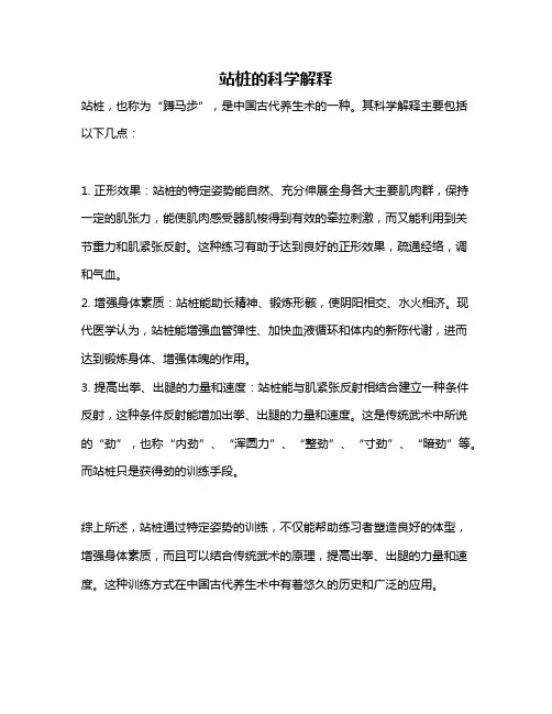站桩的科学解释