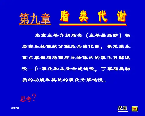 z11生物化学考研必备v幻灯片课件