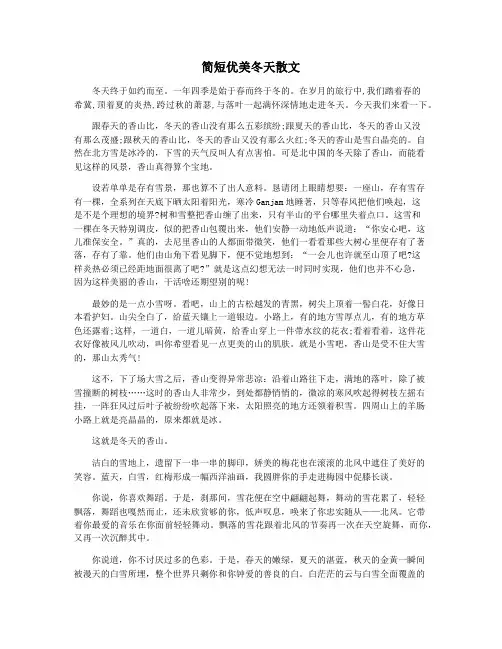 简短优美冬天散文