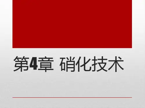 第4章 硝化技术