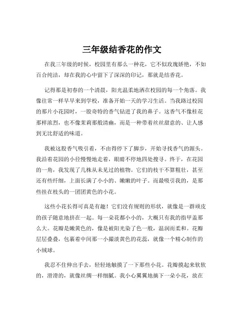三年级结香花的作文