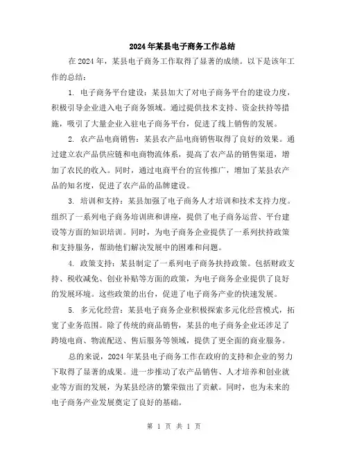2024年某县电子商务工作总结