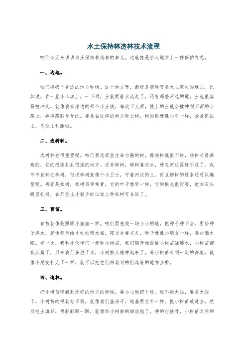 水土保持林造林技术流程