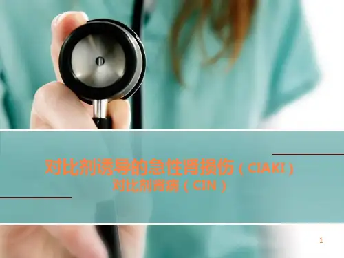 对比剂肾病PPT课件