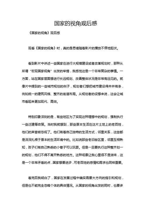 国家的视角观后感