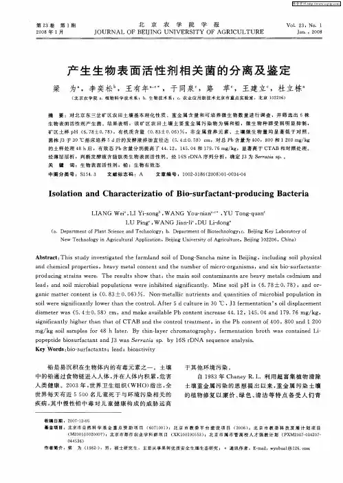产生生物表面活性剂相关菌的分离及鉴定