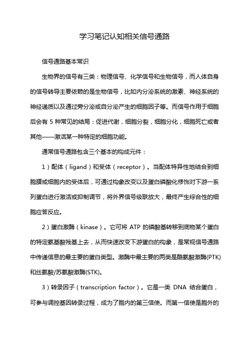 学习笔记认知相关信号通路