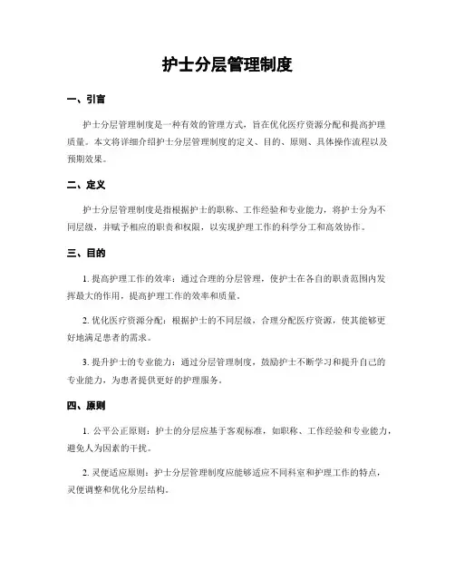 护士分层管理制度