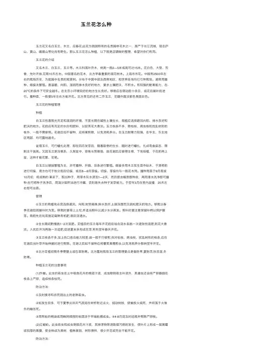 玉兰花怎么种