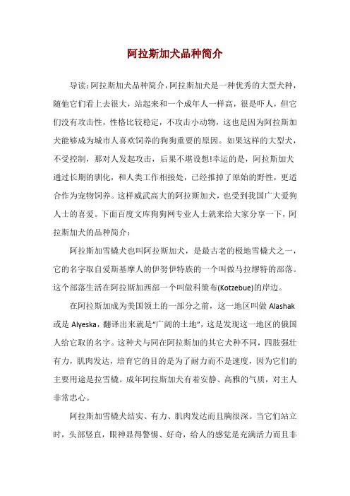 阿拉斯加犬品种简介