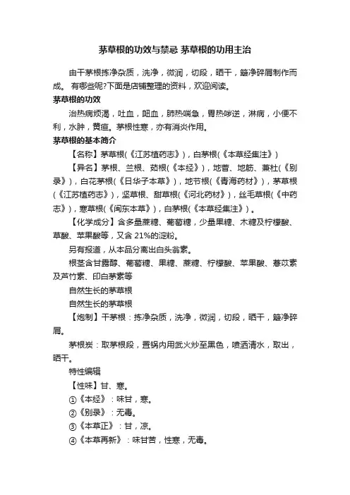 茅草根的功效与禁忌茅草根的功用主治