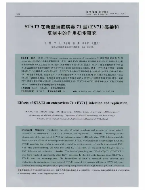 STAT3在新型肠道病毒71型(EV71)感染和复制中的作用初步研究