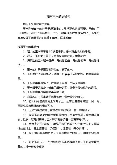 描写玉米的比喻句