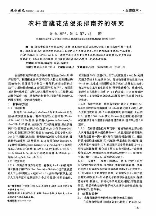 农杆菌蘸花法侵染拟南芥的研究