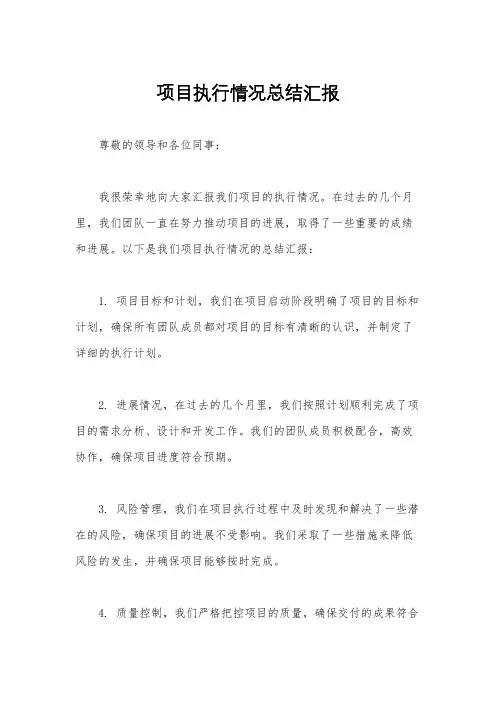 项目执行情况总结汇报