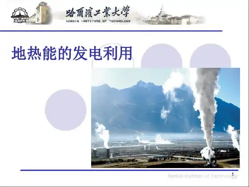 地热能的发电利用.ppt