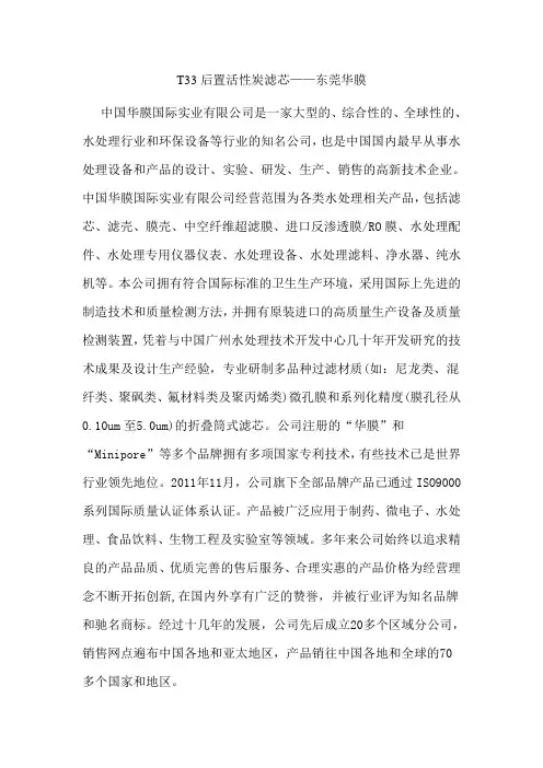 T33后置活性炭滤芯