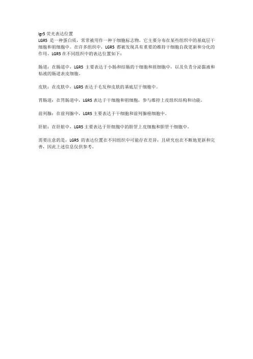 lgr5荧光表达位置