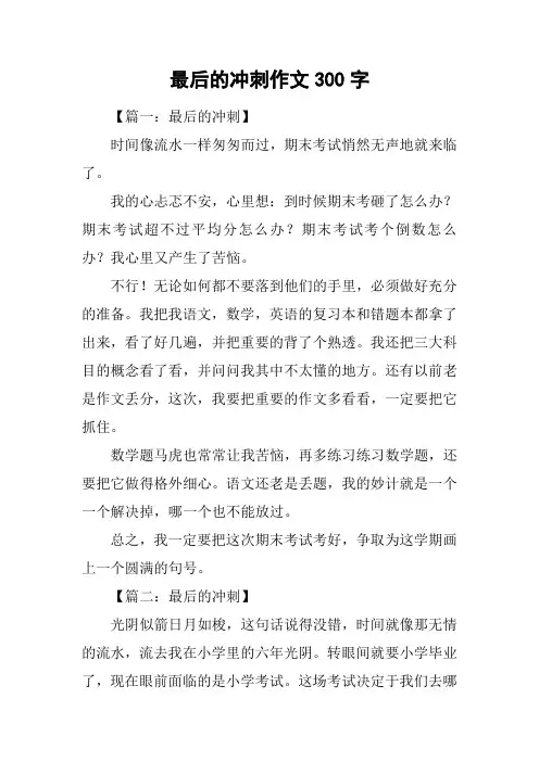 最后的冲刺作文300字