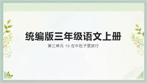 10.《在牛肚子里旅行》课件(共25张PPT)