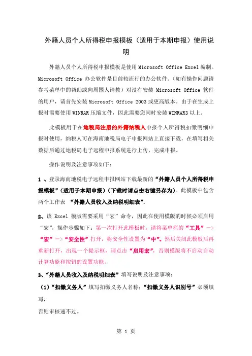 个人所得税申报模板使用说明word资料20页