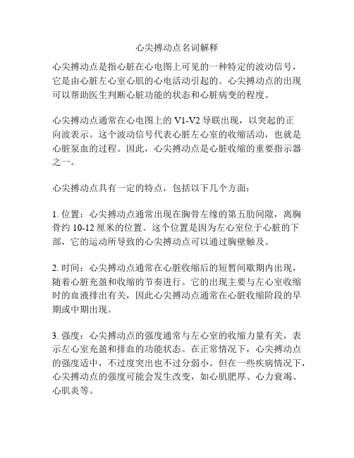 心尖搏动点名词解释