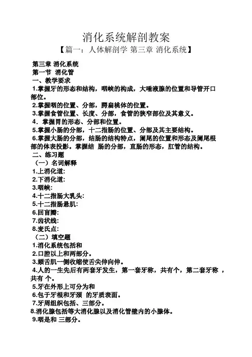 消化系统解剖教案