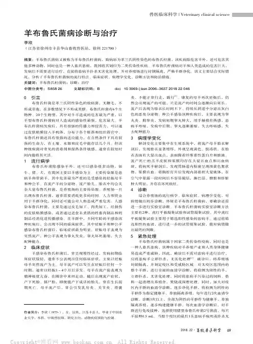 羊布鲁氏菌病诊断与治疗