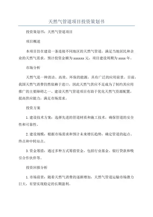 天然气管道项目投资策划书