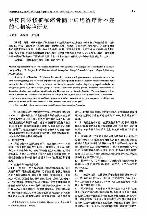 经皮自体移植浓缩骨髓干细胞治疗骨不连的动物实验研究