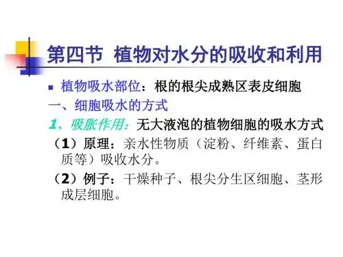 高二生物植物对水分的吸收和利用