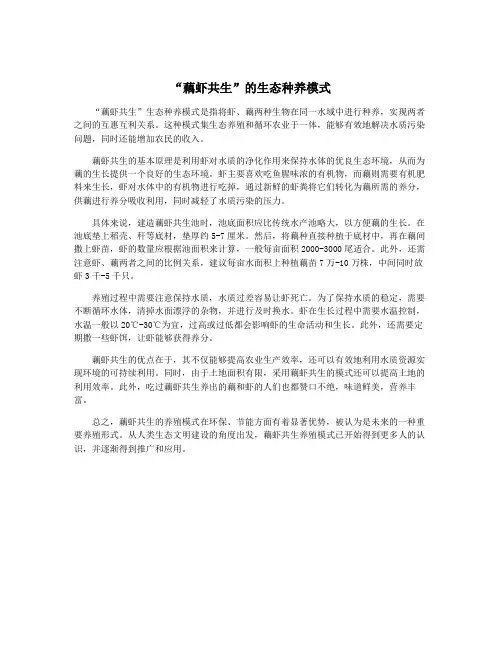 “藕虾共生”的生态种养模式
