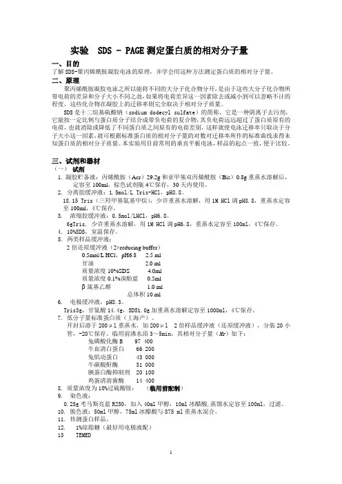 5 SDS-PAGE测定蛋白质的相对分子量