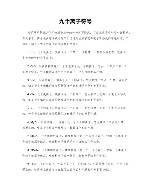 九个离子符号
