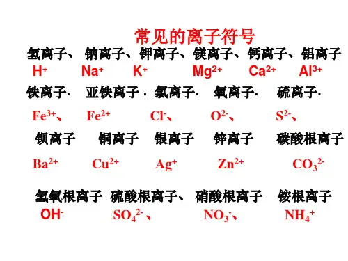 常见的离子符号,化学式