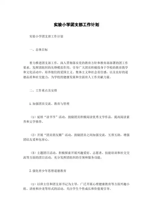 实验小学团支部工作计划