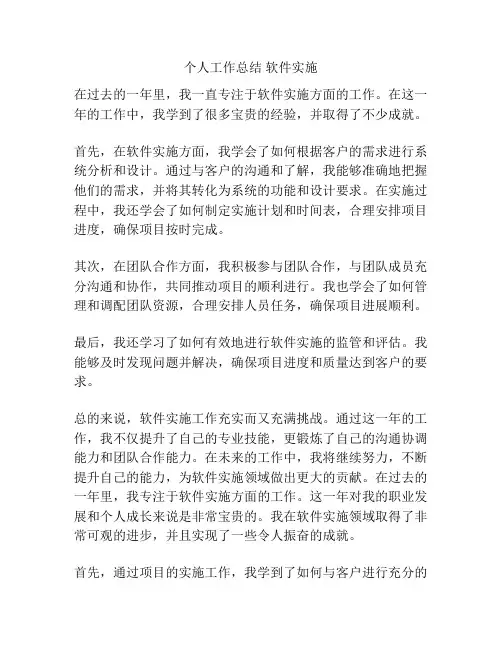 个人工作总结 软件实施