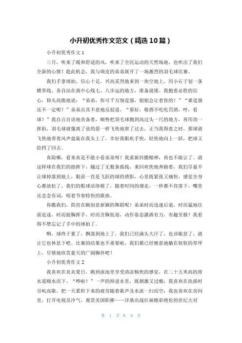 小升初优秀作文范文（精选10篇）