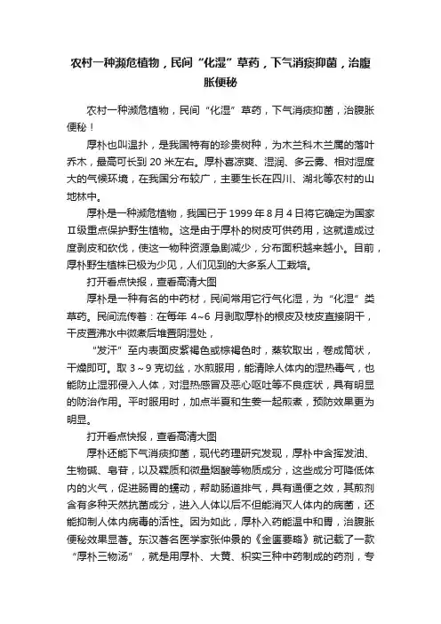 农村一种濒危植物，民间“化湿”草药，下气消痰抑菌，治腹胀便秘
