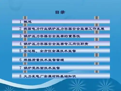 201507火电厂锅炉监察与金属监督管理--刘铁军
