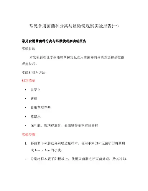 常见食用菌菌种分离与显微镜观察实验报告(一)