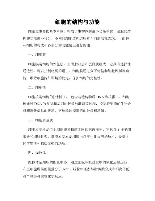 细胞的结构与功能