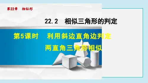 利用斜边直角边判定两直角三角形相似PPT课件