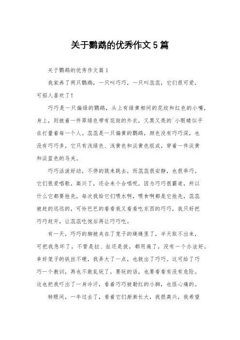 关于鹦鹉的优秀作文5篇