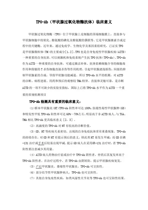 TPO简介