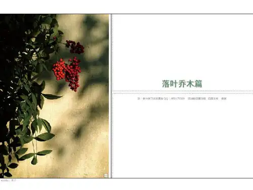 常用植物图例ppt课件