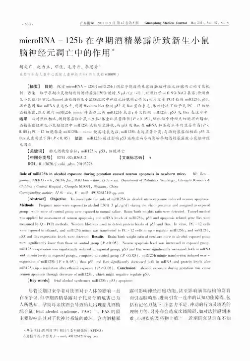 microRNA-125b在孕期酒精暴露所致新生小鼠脑神经元凋亡中的作用